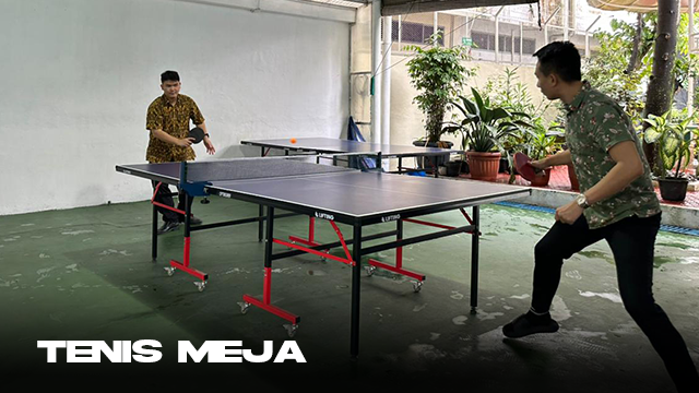 Tenis Meja Tenis Meja